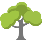 Hayward Tree Removal