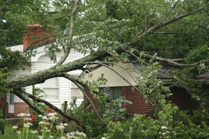 Storm Damage Cleanup